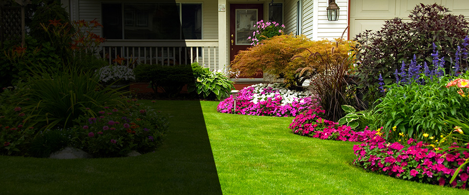 Oakland Landscapers
